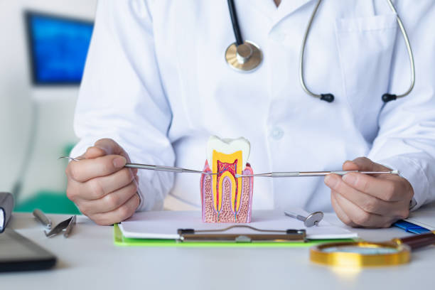 Best Emergency Dental Services for Seniors in Somerset, PA